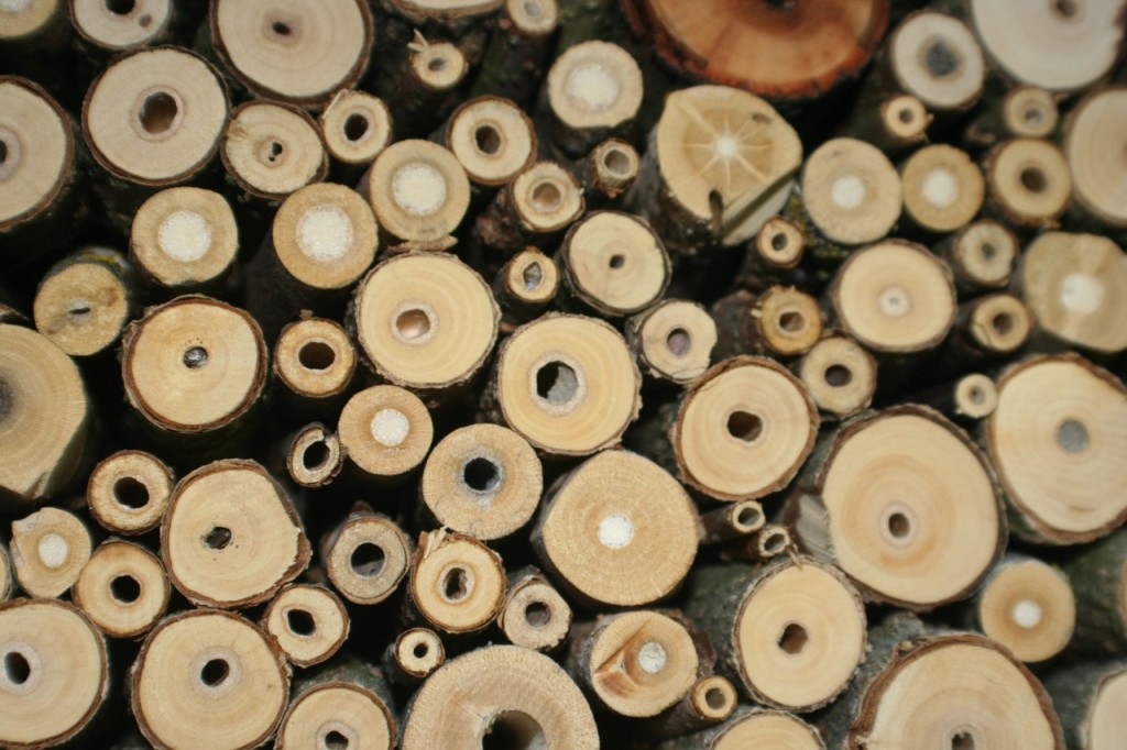 Insektenhotel bauen