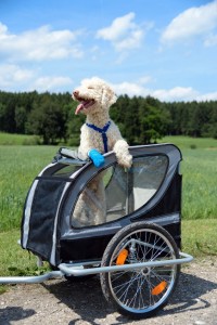 01 Beitragsbild 1