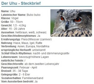 01 Der Uhu - Steckbrief