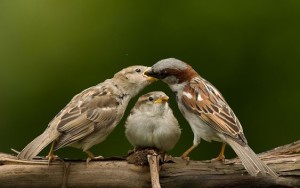 02 Beitragsbild 1