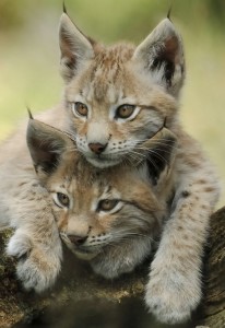 03 Beitragsbild 2