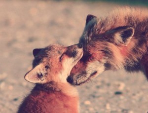 03 Beitragsbild 2