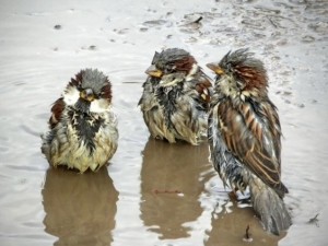 03 Beitragsbild 2