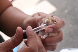 01 Beitragsbild 1