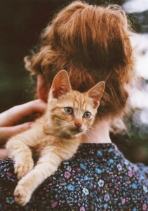 01 Beitragsbild 1