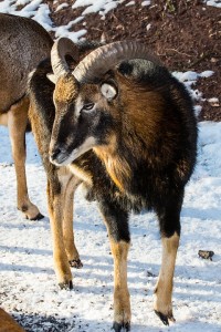 02 Beitragsbild 1