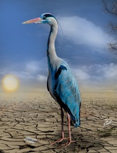 02 Beitragsbild 1