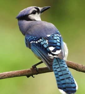 02 Beitragsbild 1
