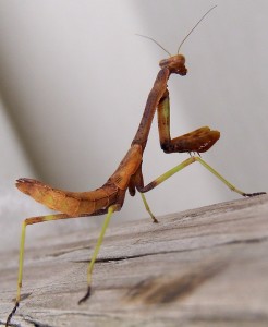 02 Beitragsbild 1