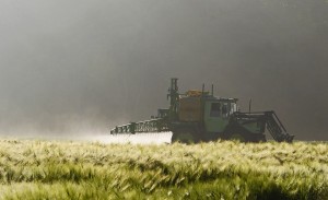 02 Beitragsbild 2