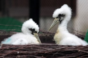 03 Beitragsbild 2