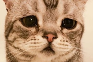03 Beitragsbild 3