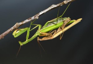 04 Beitragsbild 3