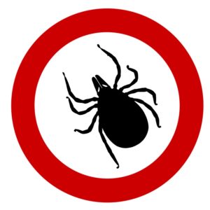 tick-1465065_960_720