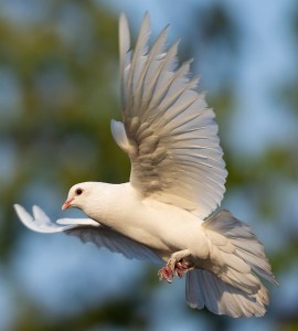 01 Beitragsbild 1