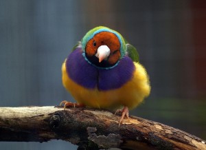 01 Beitragsbild 1