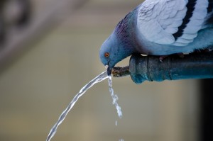 02 Beitragsbild 2