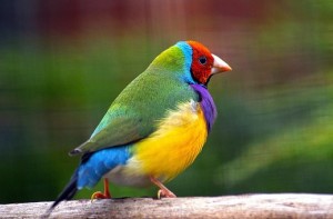 02 Beitragsbild 2