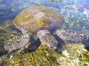 02 Beitragsbild 2