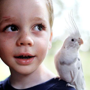 02 Beitragsbild 2