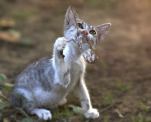01 Beitragsbild 1