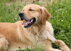 01 Beitragsbild 1
