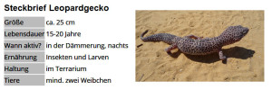 01 Steckbrief