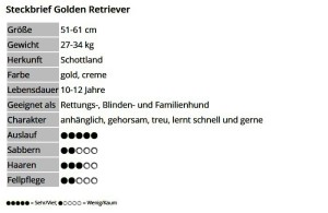 01 Steckbrief