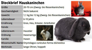 01 Steckbrief