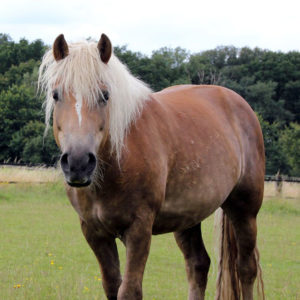 02 Beitragsbild 1