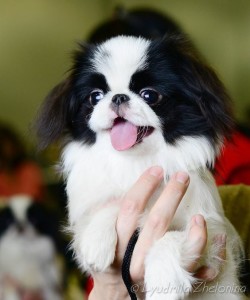 02 Beitragsbild 1