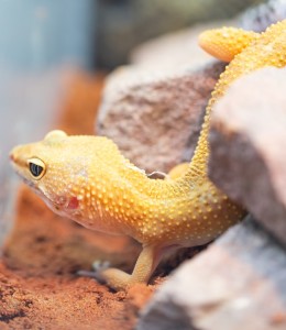 02 Beitragsbild 2