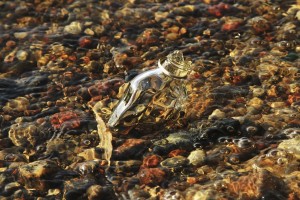 02 Beitragsbild 2
