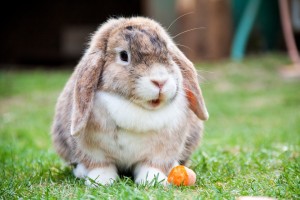 02 Beitragsbild 2