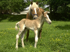 03 Beitragsbild 2