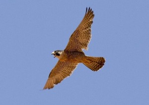 03 Beitragsbild 2
