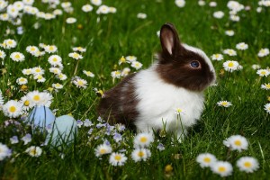 03 Beitragsbild 3