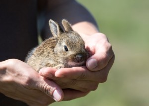 03 Beitragsbild 4