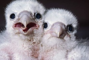 04 Beitragsbild 3