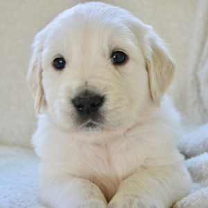04 Beitragsbild 4