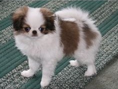 05 Beitragsbild 4