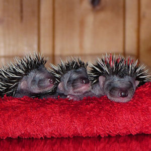 05 Beitragsbild 4