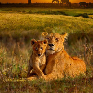 01 Beitragsbild 1