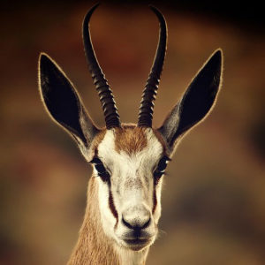 02 Beitragsbild 2