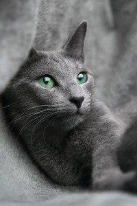 01 Beitragsbild 1