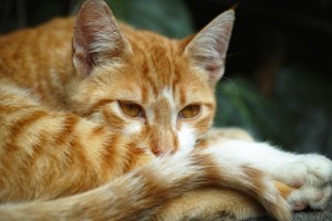 02 Beitragsbild 2