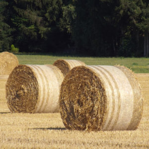 02 Beitragsbild 2