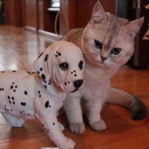 01 Beitragsbild 1