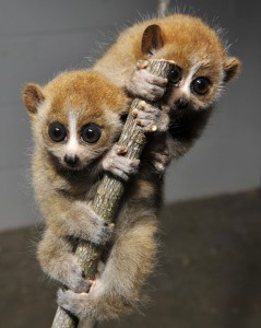 01 Beitragsbild 1