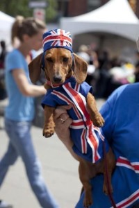 01 Beitragsbild 1